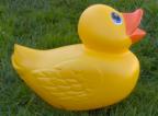 3D Rubber Ducks